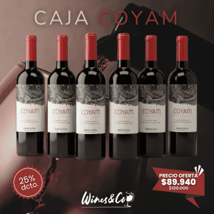 Caja x 6 Coyam Mezcla Tinta 2021