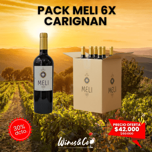Caja x 6 Meli Carignan Gran Reserva